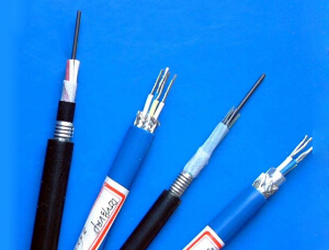 本质安 全电路计算机屏蔽电缆(包括本安用DCS电缆)