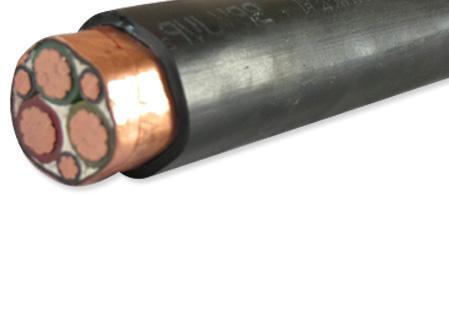 变频电缆ZR-BPYJVPX13R