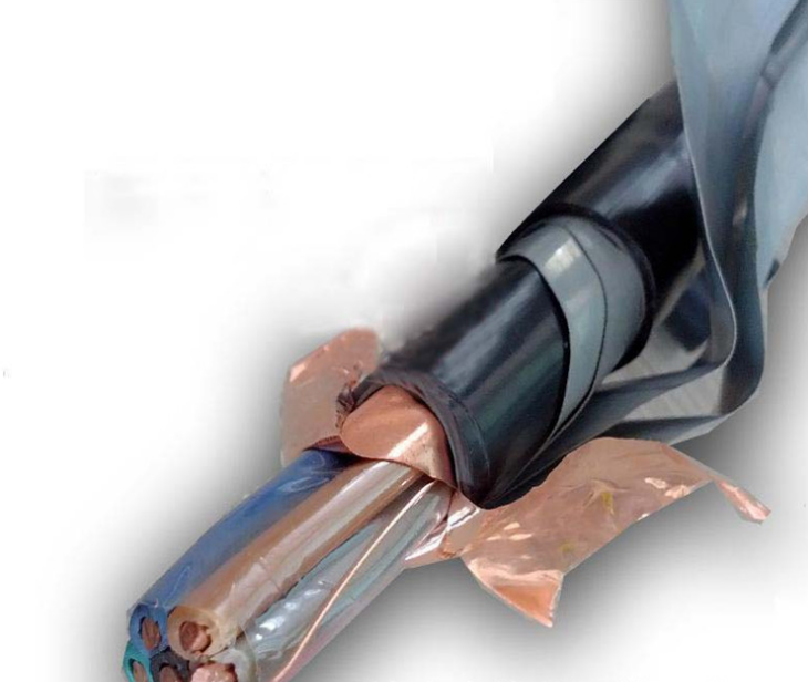 安徽中盛电缆防鼠防蚁电缆FSY11-YJV22 4*25+1*16