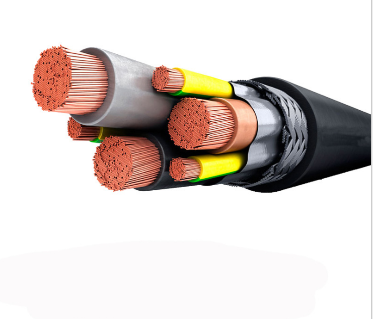 安徽天长市中盛电缆防鼠防蚁电缆FSY11-YJV22 5*10