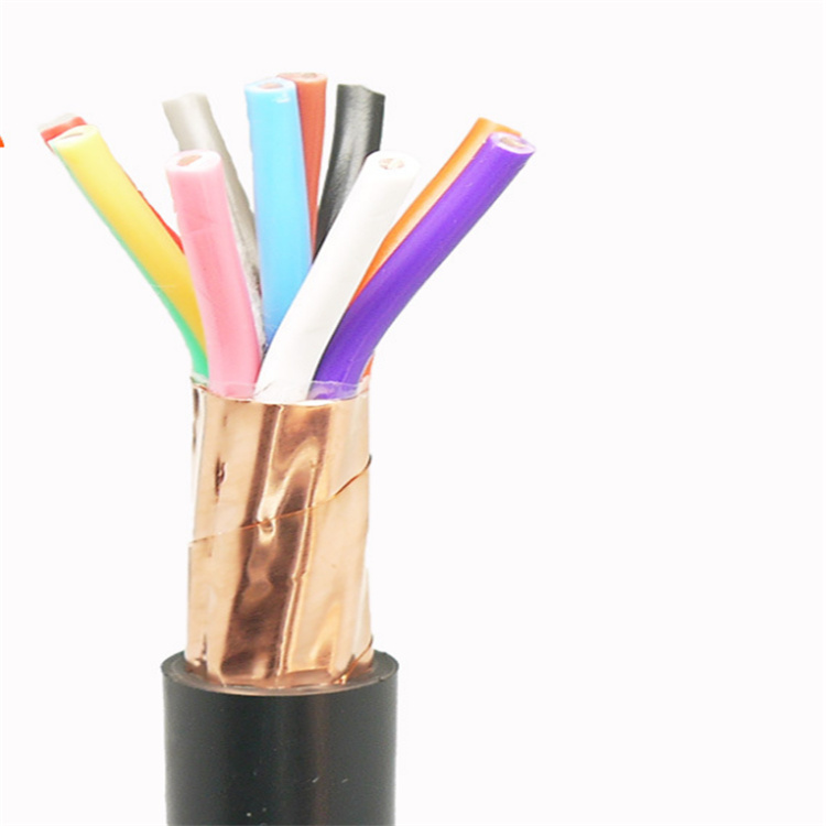 天长电缆中盛电缆 铜带屏蔽计算机电缆 ZRC-DJYP2VP2 2*2*1.0