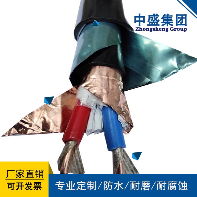 中盛电缆铠装阻燃双绞屏蔽线ZR-RVVSP22 2*2*1.5