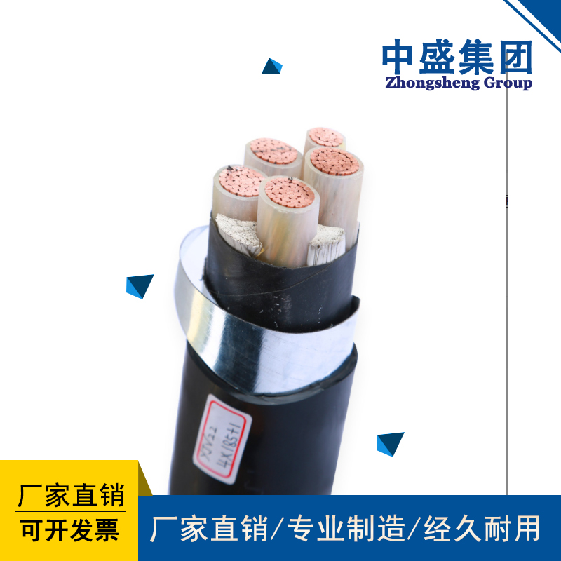 安徽天长市中盛电缆防鼠防蚁电缆FSY11-YJV22 4*185
