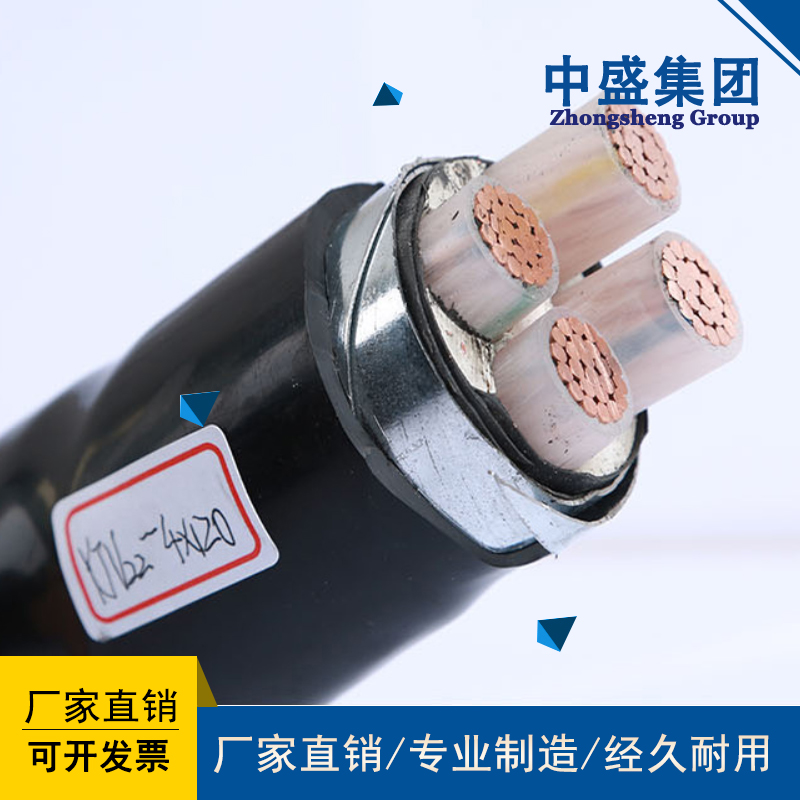 安徽天长市中盛电缆防鼠防蚁电缆FSY11-YJV22 4*70