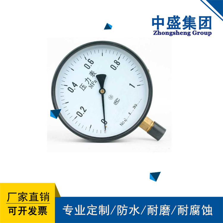 不锈钢膜盒压力表 YE-100B MF 316L DN15