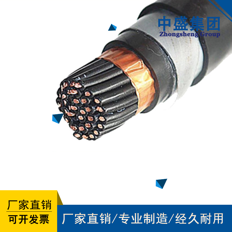 钢带铠装计算机电缆DJYVP22、DJYPV22