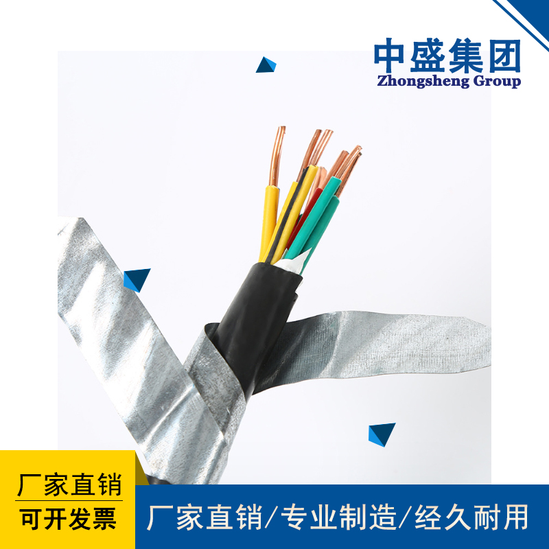 阻燃铠装计算机电缆ZRC-DJVP2VP2 2*3*1.0