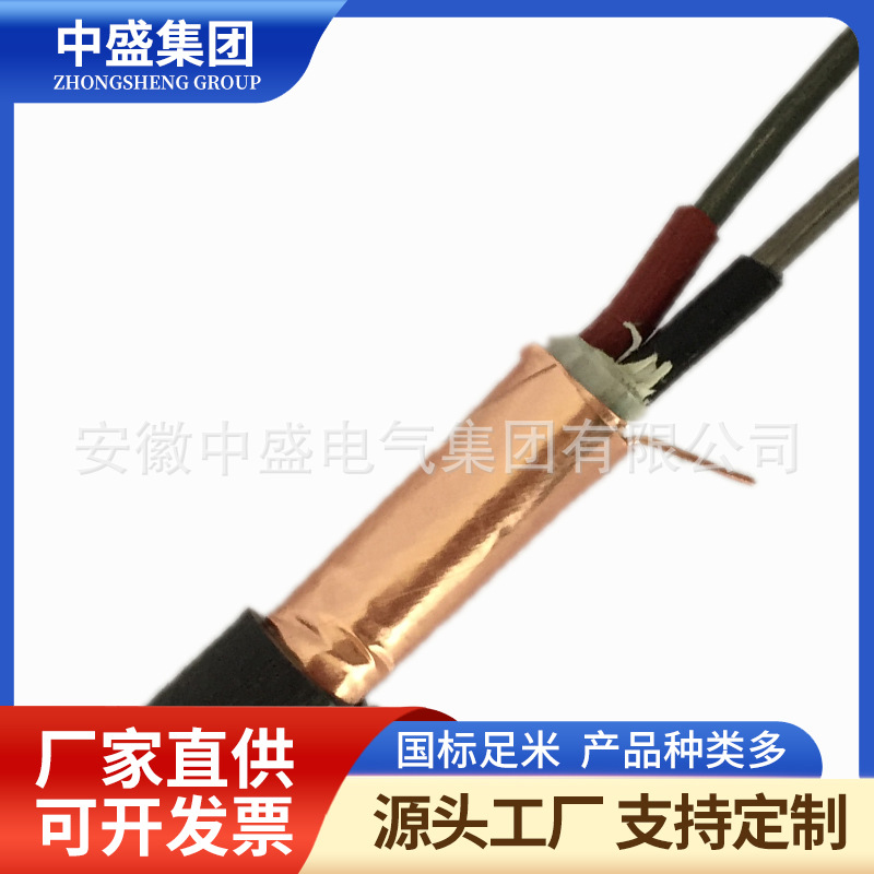 阻燃高温计算机电缆ZRC-DJPP2GP2