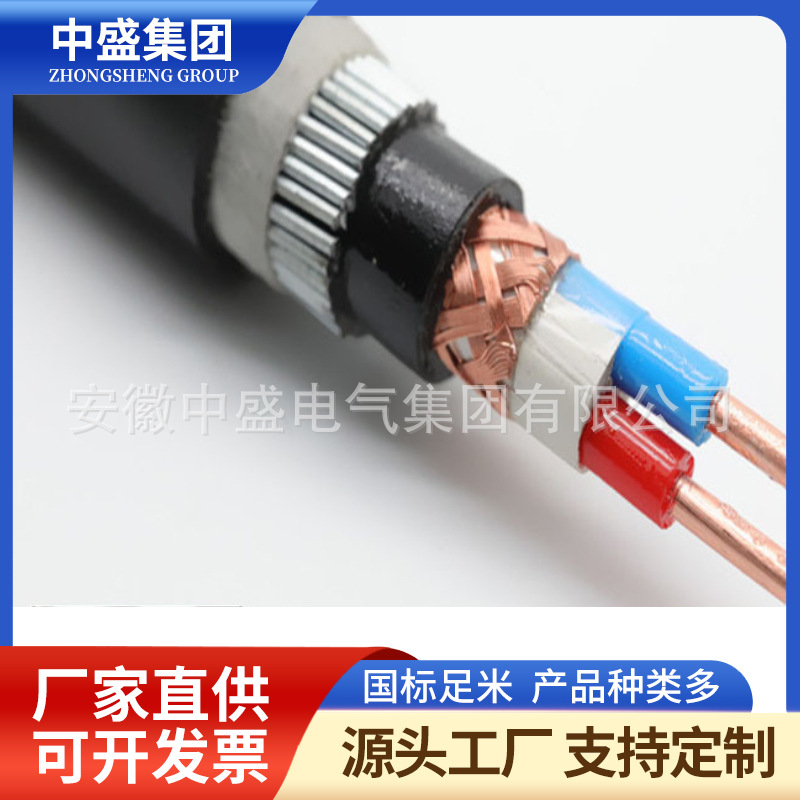 铠装计算机电缆DJYJP3YP3-33