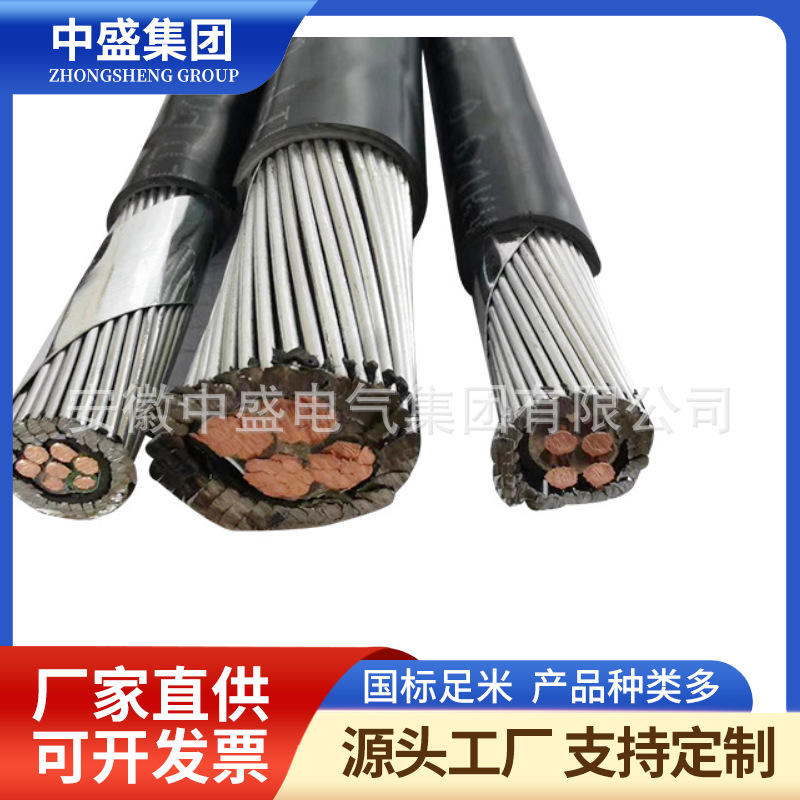 钢丝铠装计算机电缆DJYVP3-32 DJYP3V32 DJYP3VP3-32