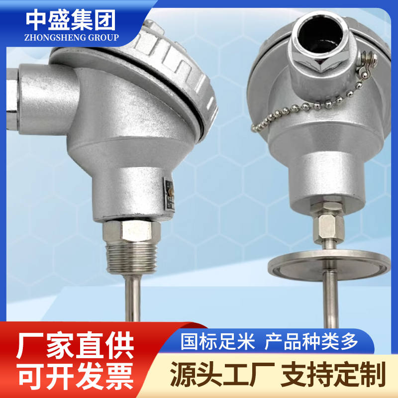 铠装热电偶WRFK-161/WRFK2-161