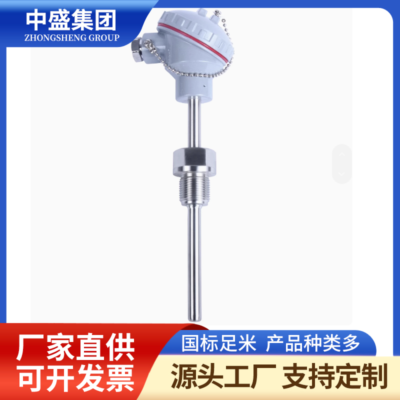 铠装热电偶WREK-261/WREK2-261