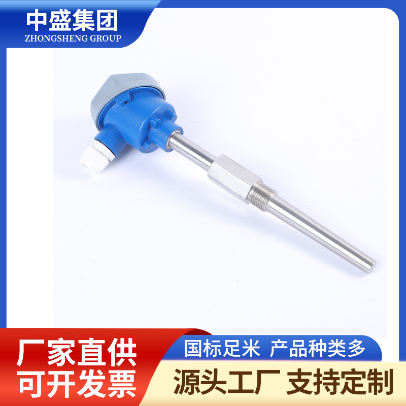 扁接插式铠装热电偶WRNK-171