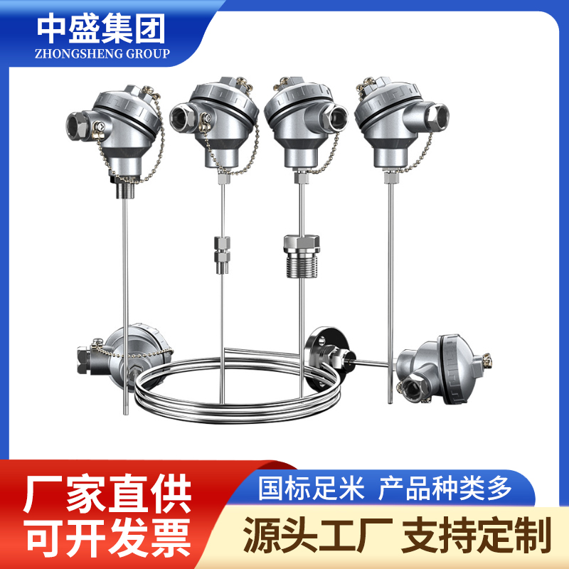 扁接插式铠装热电偶WRNK-271