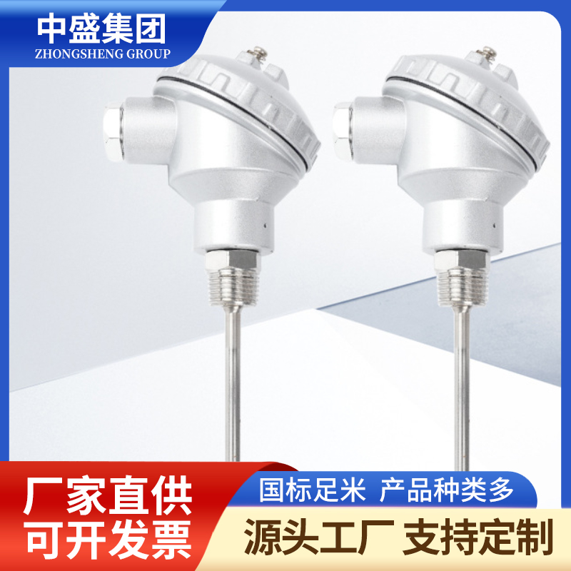 扁接插式铠装热电偶WRPK-571