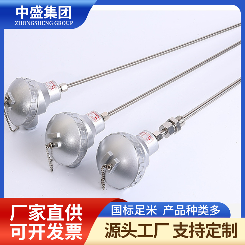 扁接插式铠装热电偶WRNK2-571