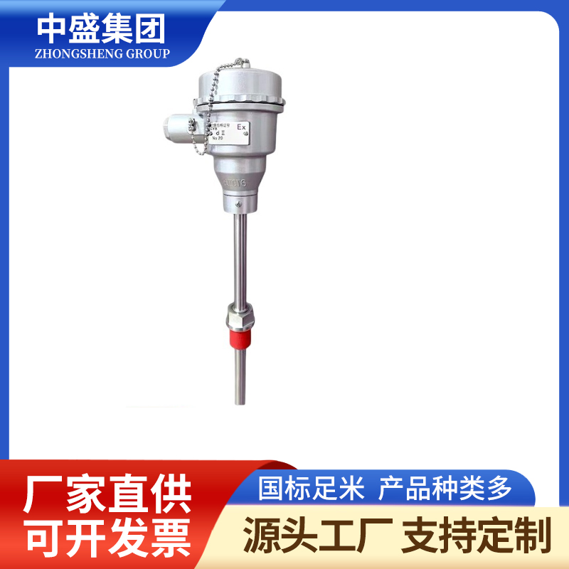 扁接插式铠装热电偶WREK2-571