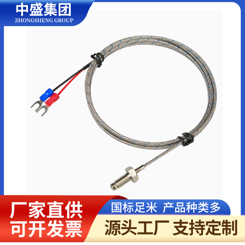 补偿到现实铠装热电偶WREK-191