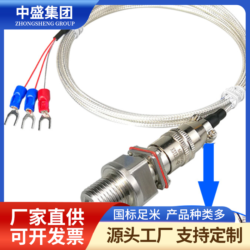 补偿导线式铠装热电偶WRFK-191