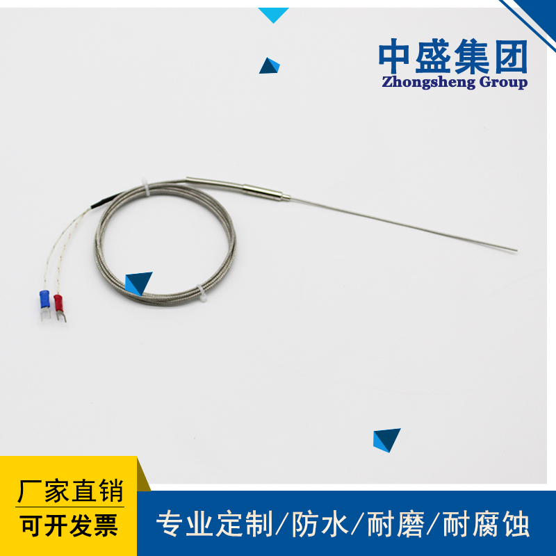 补偿导线式铠装热电偶WRPK-291
