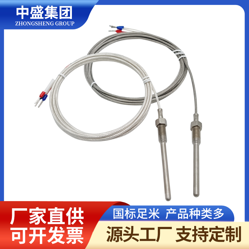 补偿导线式铠装热电偶WRMK-291