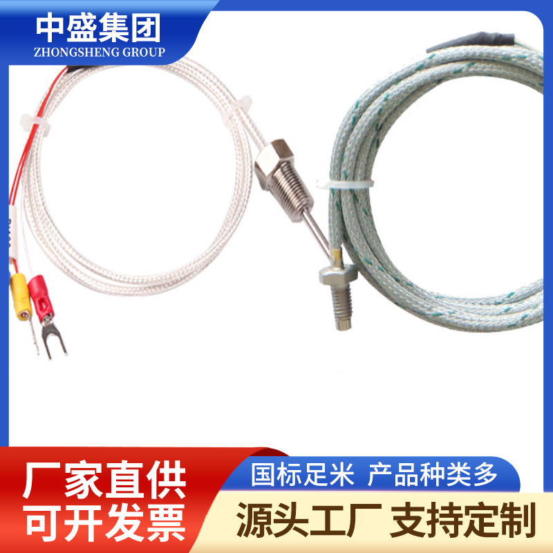 补偿导线式铠装热电偶WREK-291
