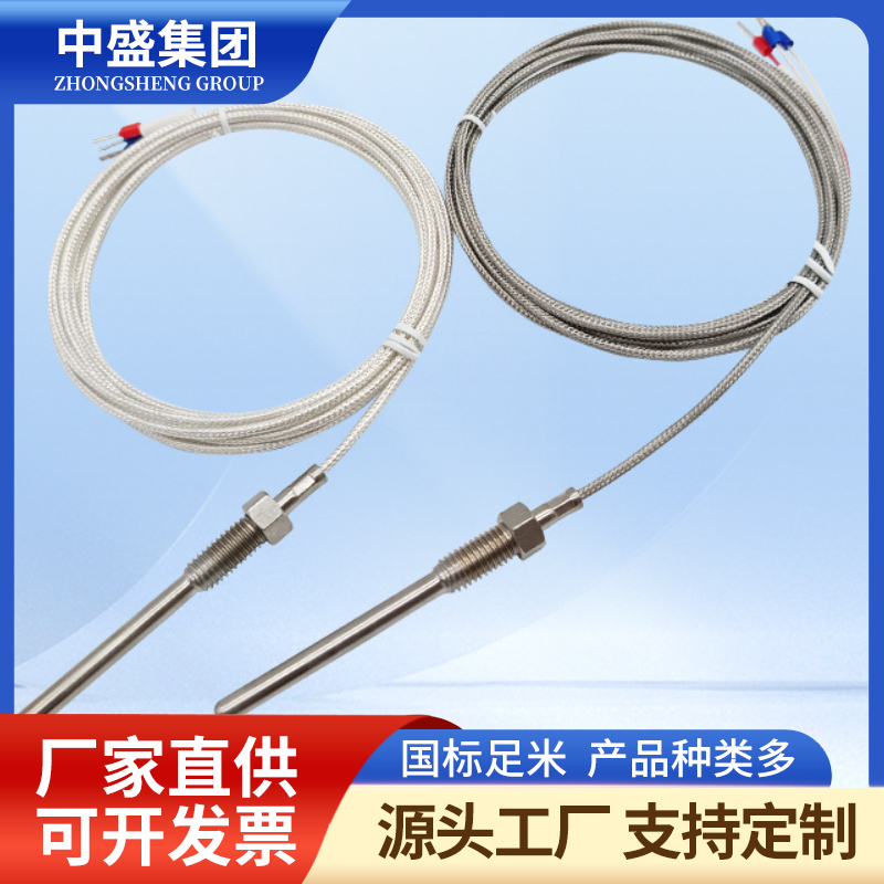 补偿导线式铠装热电偶WRFK-291