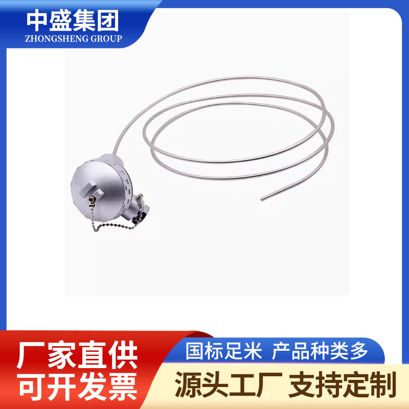 补偿导线式铠装热电偶WREK-391