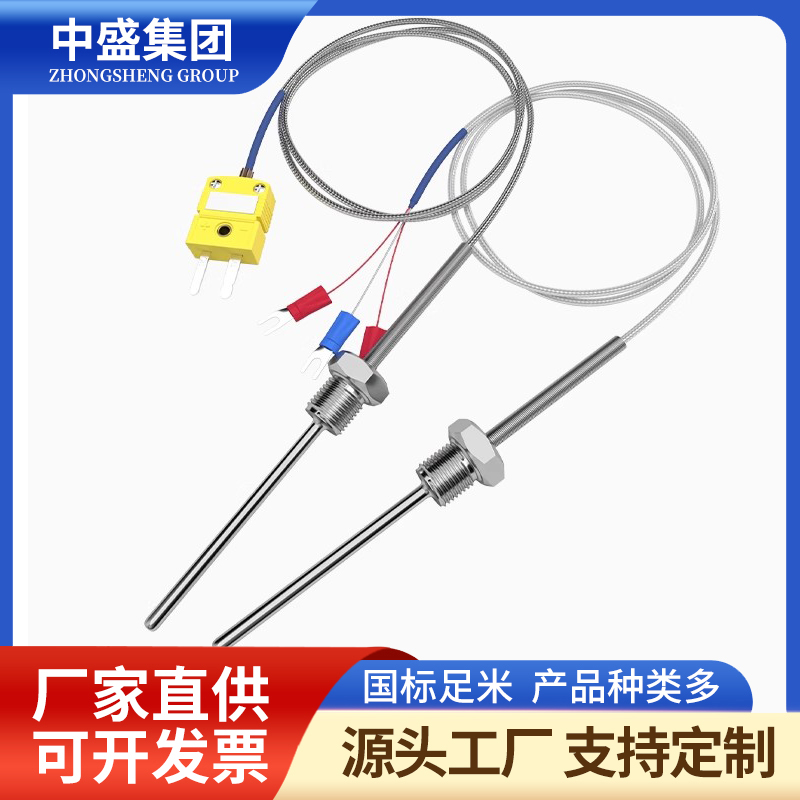 补偿导线式铠装热电偶WRNK-591