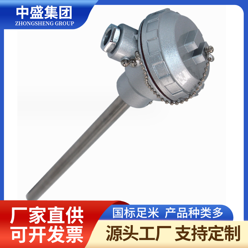 装配热电偶WRN-101 WRN2-101
