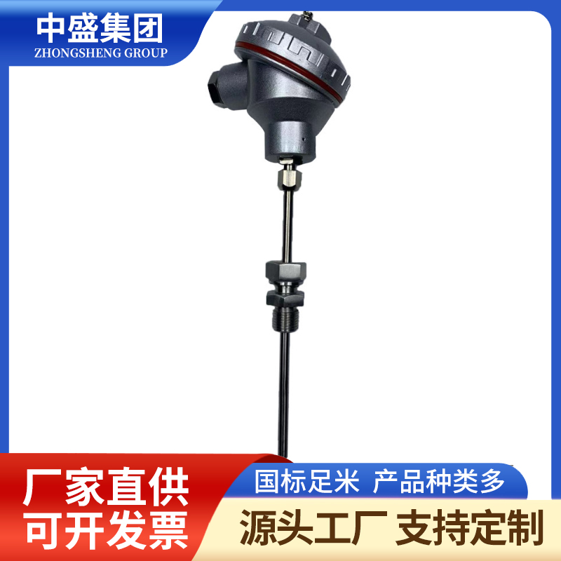 装配热电偶WRE-101 WRE2-101