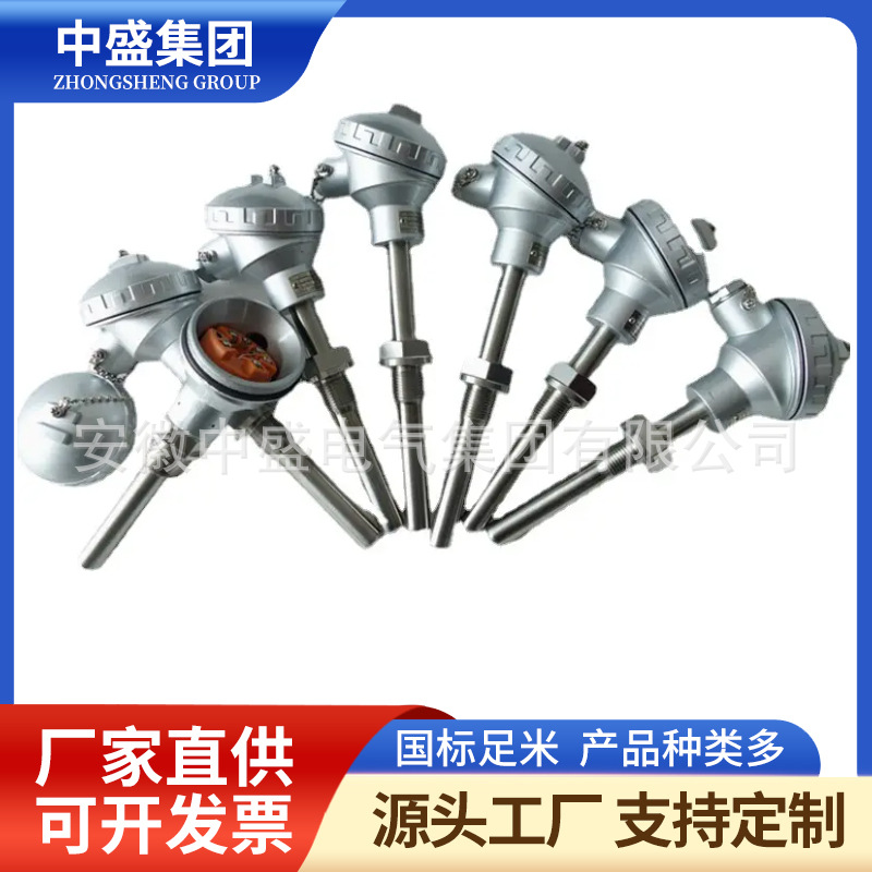 无固定装置热电偶WRM-131 WRM2-131 