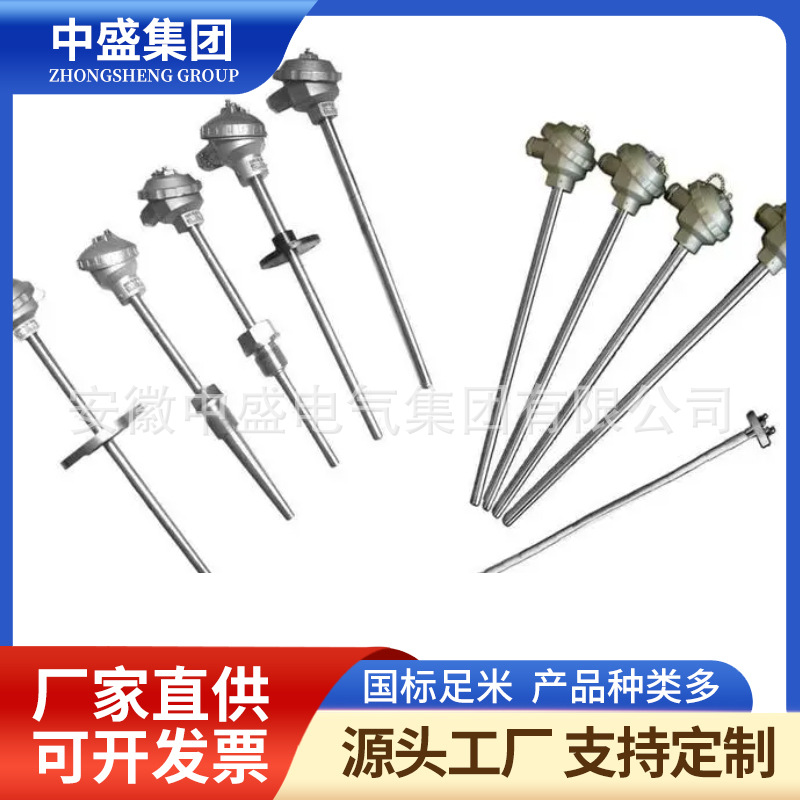 无固定装置热电偶WRE-130 WRE2-130