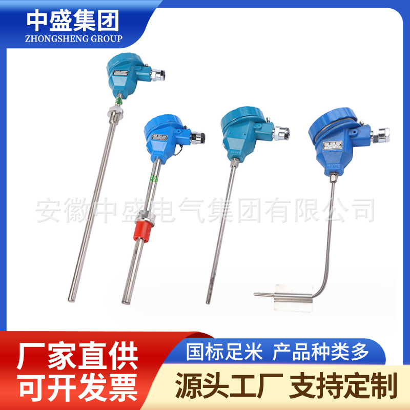 无固定装置热电偶WRE-130G WRE2-130G