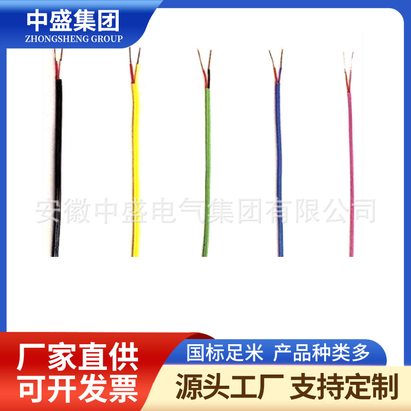 B型温度补偿导线BC-HS-VVP