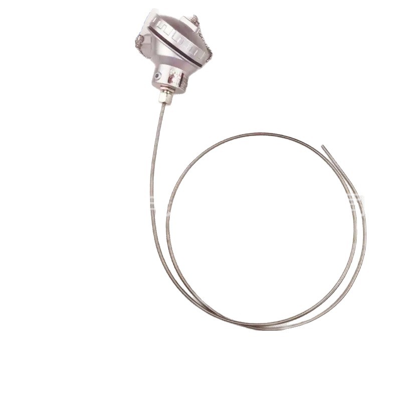 无固定装置热电偶WRN-131 WRN2-131