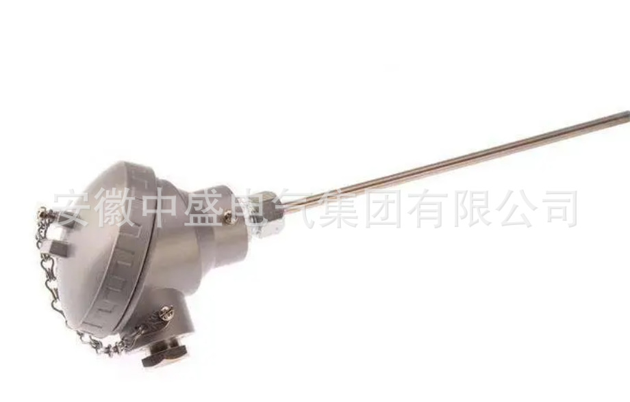 无固定装置热电偶WRN-131G WRN2-131G