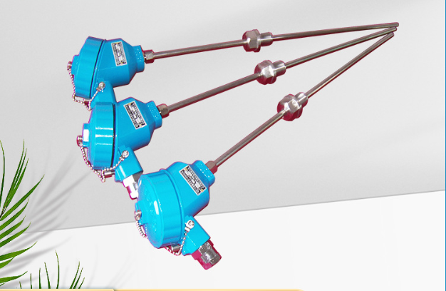 WRC2-630工业用双支固定螺纹锥形保护管装配式热电偶